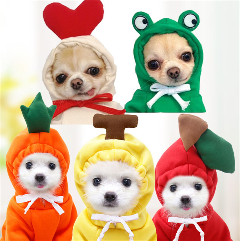 Pakaian Anjing Buah Lucu untuk - Winter Clothing Pictures ulasan dan harga